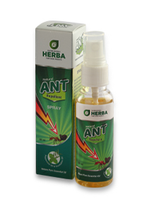 Best Herbal Ant Repellent Online